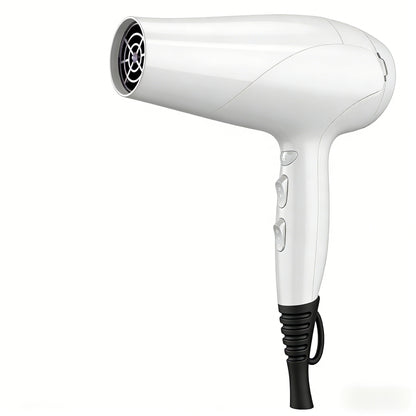 1875W High-Speed Ionic Hair Dryer with Attachments